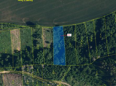 Prodej - pozemek, les, 1 979 m²