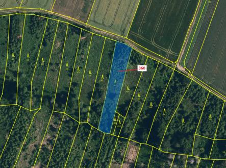 Prodej - pozemek, les, 1 822 m²