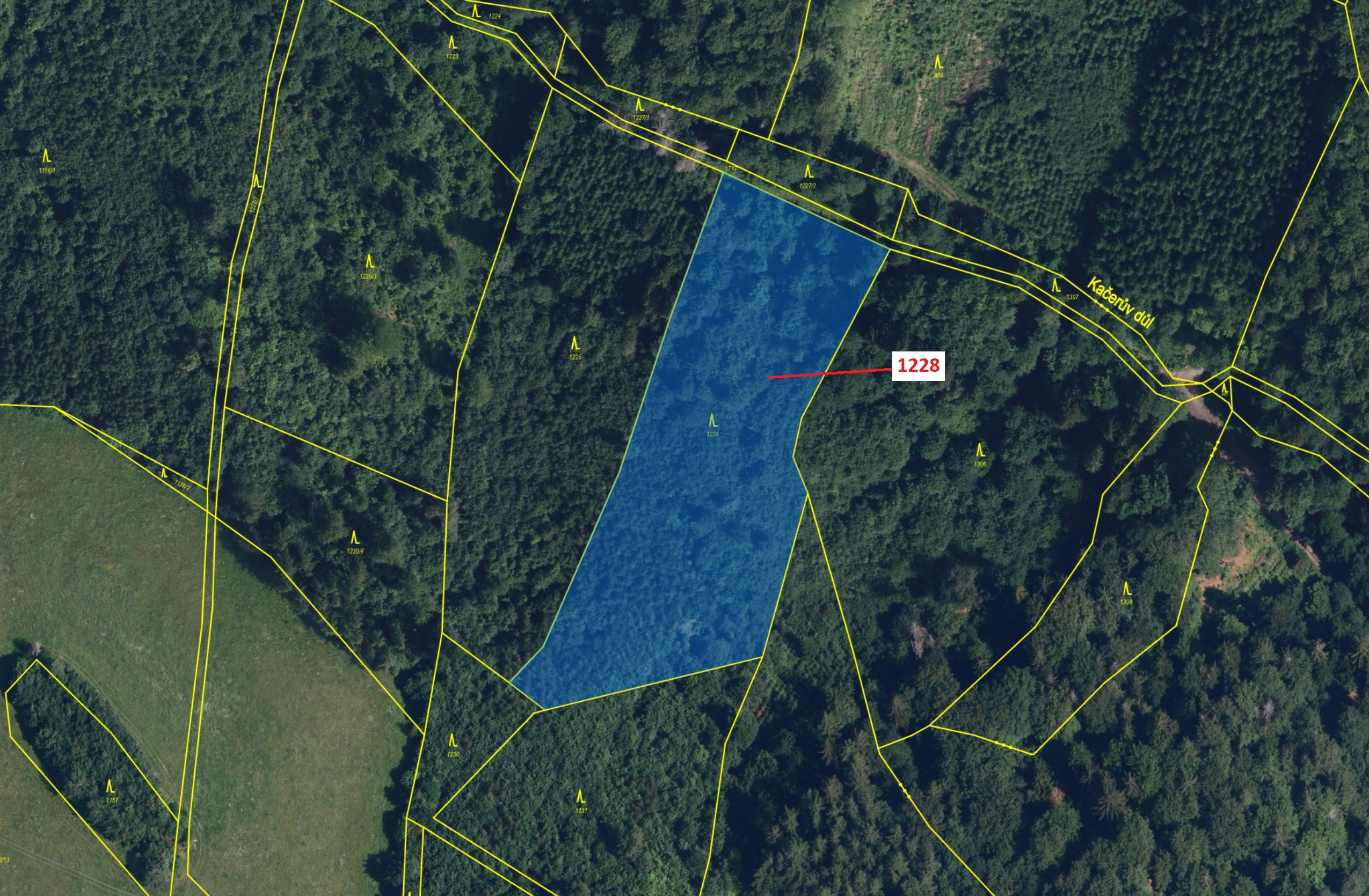 Lesní pozemek o výměře 10 403 m2, podíl 1/1, katastrální území Horní Studénky, obec Horní Studénky, 