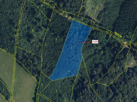 Prodej - pozemek, les, 10 403 m²