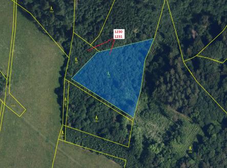 Prodej - pozemek, les, 7 904 m²