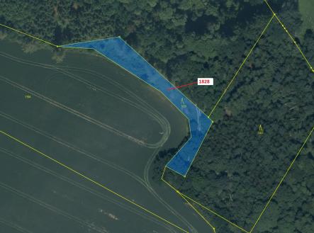 Prodej - pozemek, les, 1 841 m²