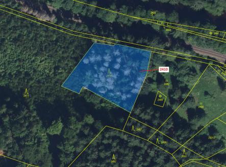 Prodej - pozemek, les, 2 416 m²
