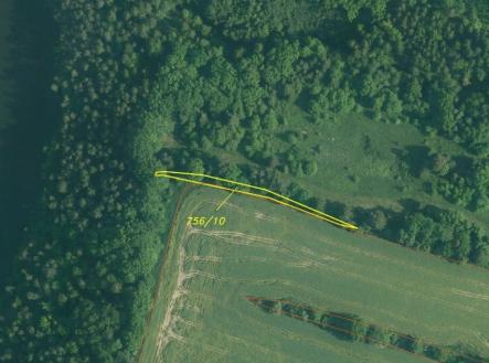 Prodej - pozemek, trvalý travní porost, 3 163 m²