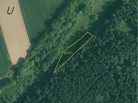 Prodej - pozemek, trvalý travní porost, 3 163 m²