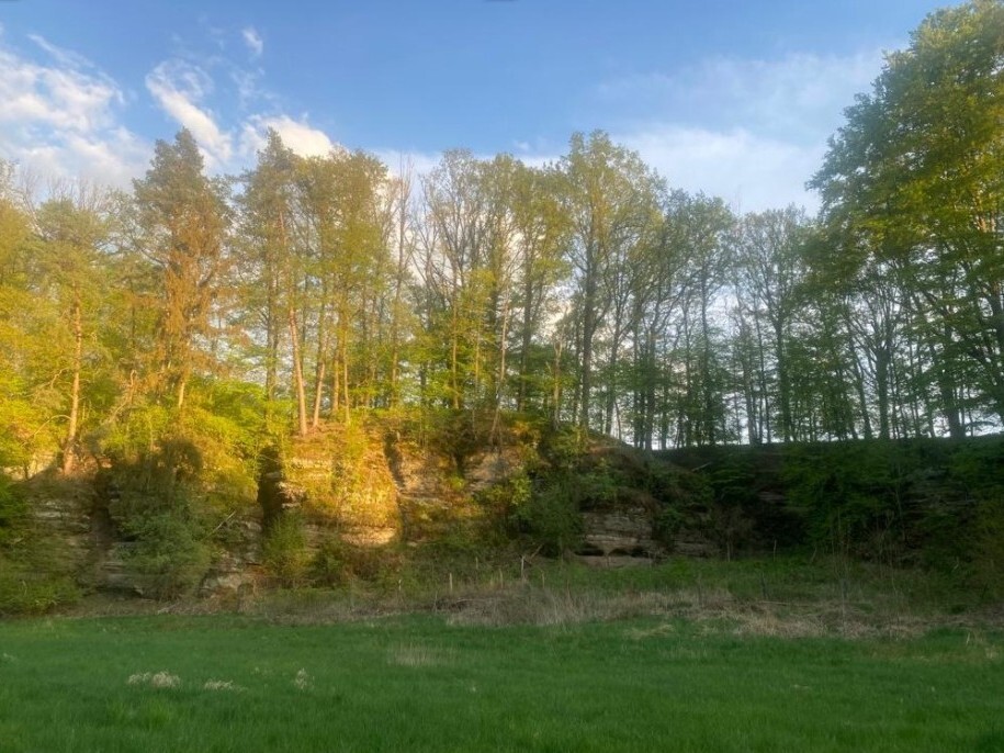 Pozemek o velikosti 3829m2, Tachov u Doks