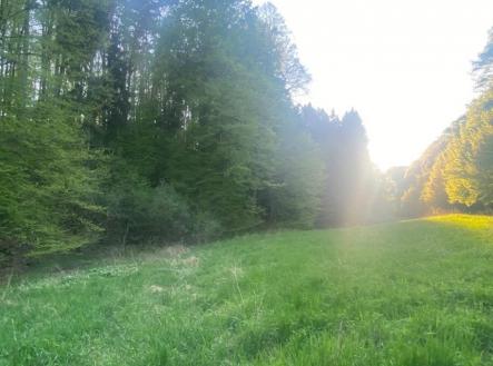 Prodej - pozemek, trvalý travní porost, 3 829 m²