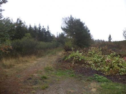 Prodej - pozemek, trvalý travní porost, 7 060 m²