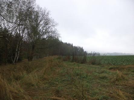Prodej - pozemek, trvalý travní porost, 7 060 m²