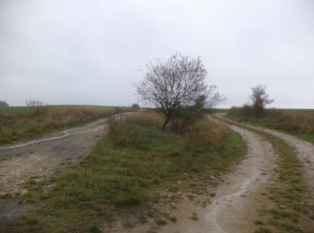 Prodej - pozemek, trvalý travní porost, 7 060 m²