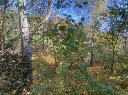 Prodej - pozemek, ostatní, 449 m²