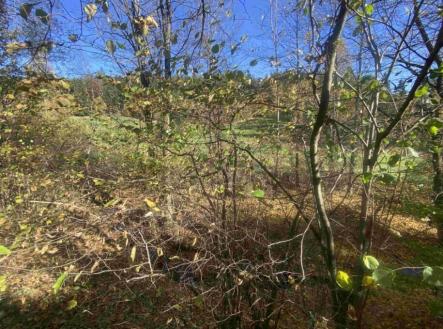 Prodej - pozemek, ostatní, 449 m²