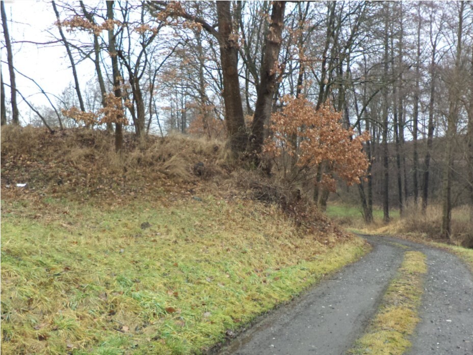 Pozemek o velikosti 26557m2, Blanice u Mladé Vožice