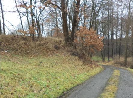 Prodej - pozemek, trvalý travní porost, 26 557 m²