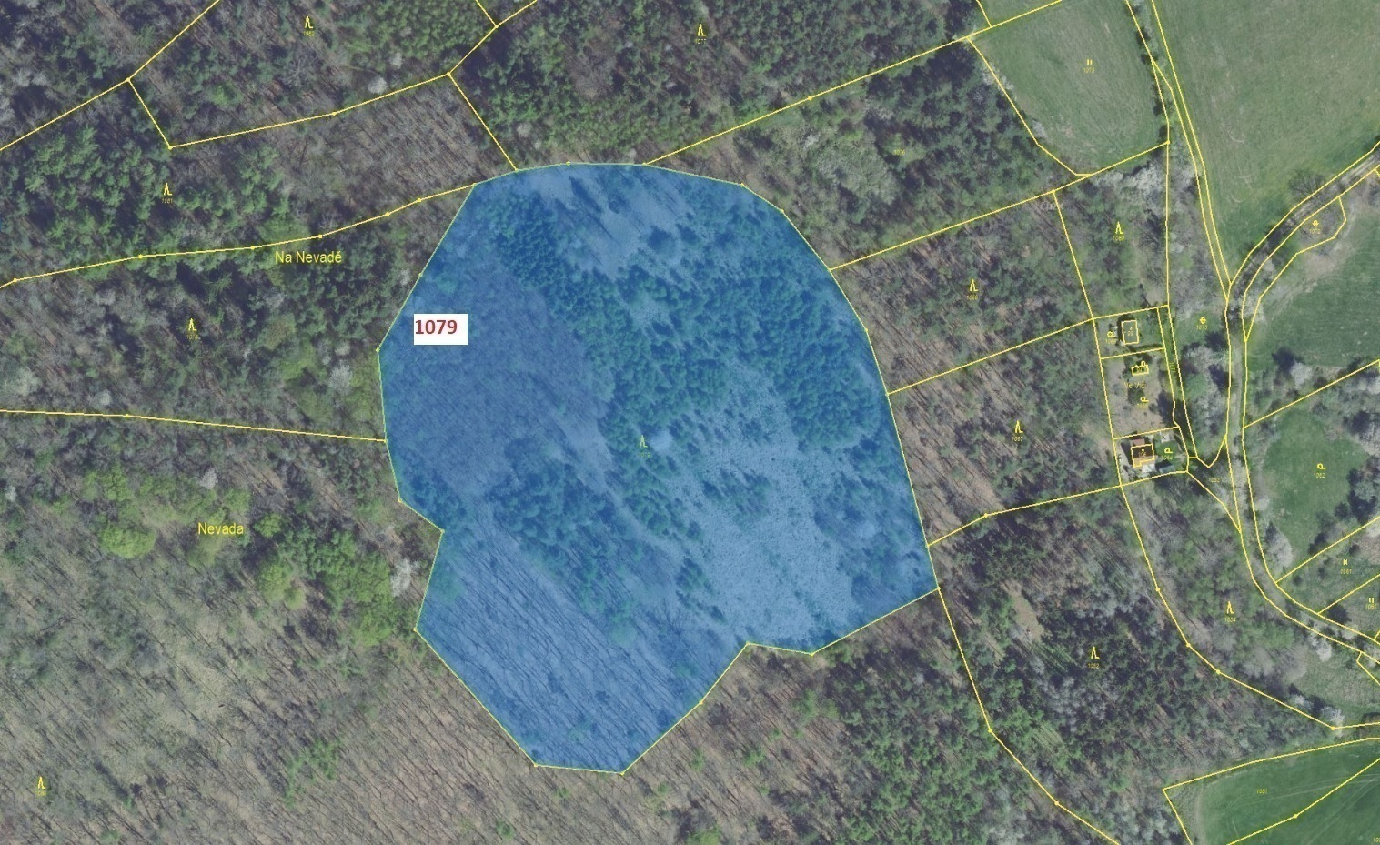 Lesní pozemek o výměře 32 925 m2, podíl 1/1, katastrální území Krámy, obec Nové Dvory, obec s rozšíř