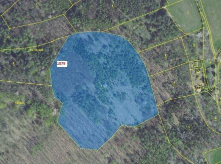 Prodej - pozemek, les, 32 925 m²