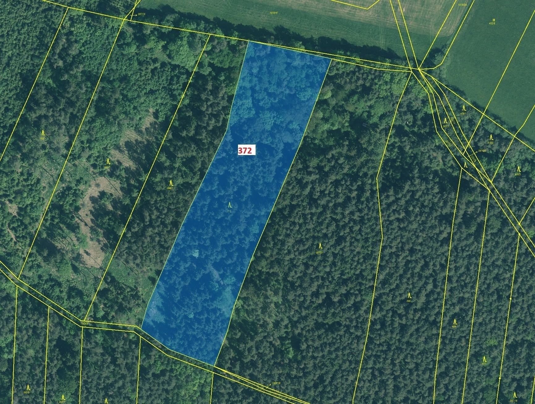 Lesní pozemek o výměře 16 547 m2, podíl 1/1, katastrální území Třešně u Záhoří, obec Záhoří, obec s 