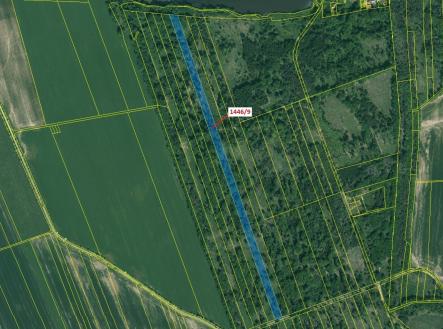 Prodej - pozemek, les, 19 879 m²