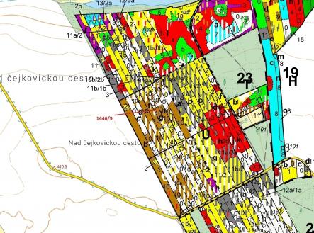 Prodej - pozemek, les, 19 879 m²