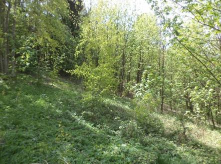 Prodej - pozemek, trvalý travní porost, 1 958 m²