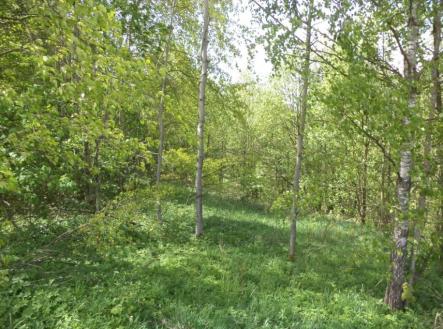 Prodej - pozemek, trvalý travní porost, 1 958 m²