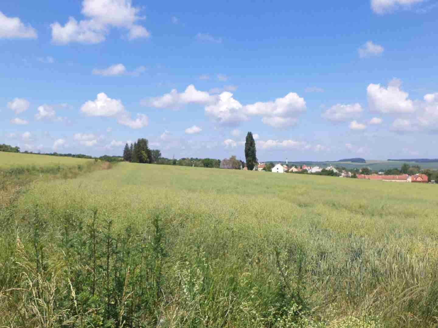 Pozemek o velikosti 8978m2, Slavkov u Uherského Brodu