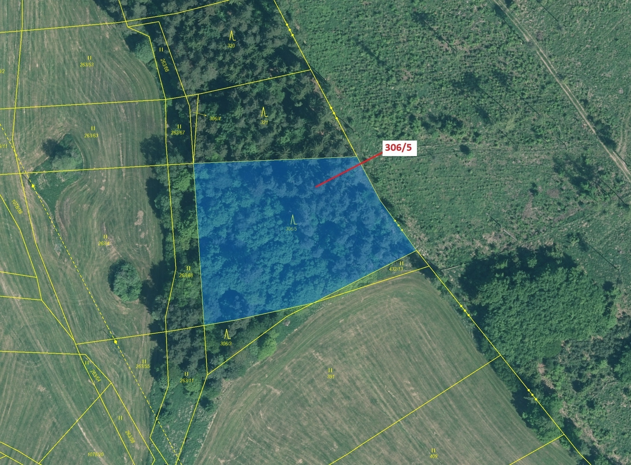 Lesní pozemek o výměře 4906 m2, podíl 1/1, katastrální území Třešně u Záhoří, obec Záhoří, obec s ro