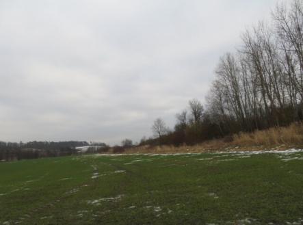 Prodej - pozemek, trvalý travní porost, 18 528 m²