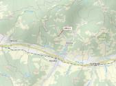 Prodej - pozemek, les, 2 438 m²