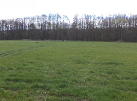 Prodej - pozemek, trvalý travní porost, 2 609 m²