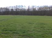 Prodej - pozemek, trvalý travní porost, 2 609 m²
