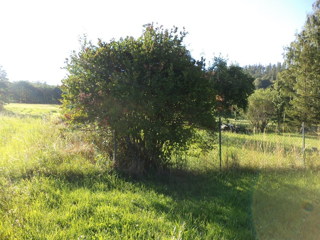Pozemek o velikosti 694m2, Burkvíz