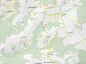 Prodej - pozemek, les, 795 m²