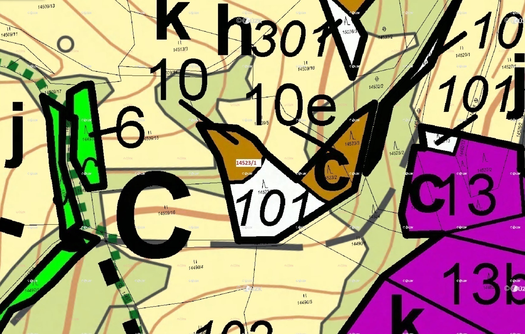 Lesní pozemek o výměře 1547 m2, podíl 1/1, katastrální území Hovězí, obec Hovězí, obec s rozšířenou 