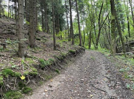 Prodej - pozemek, les, 3 816 m²