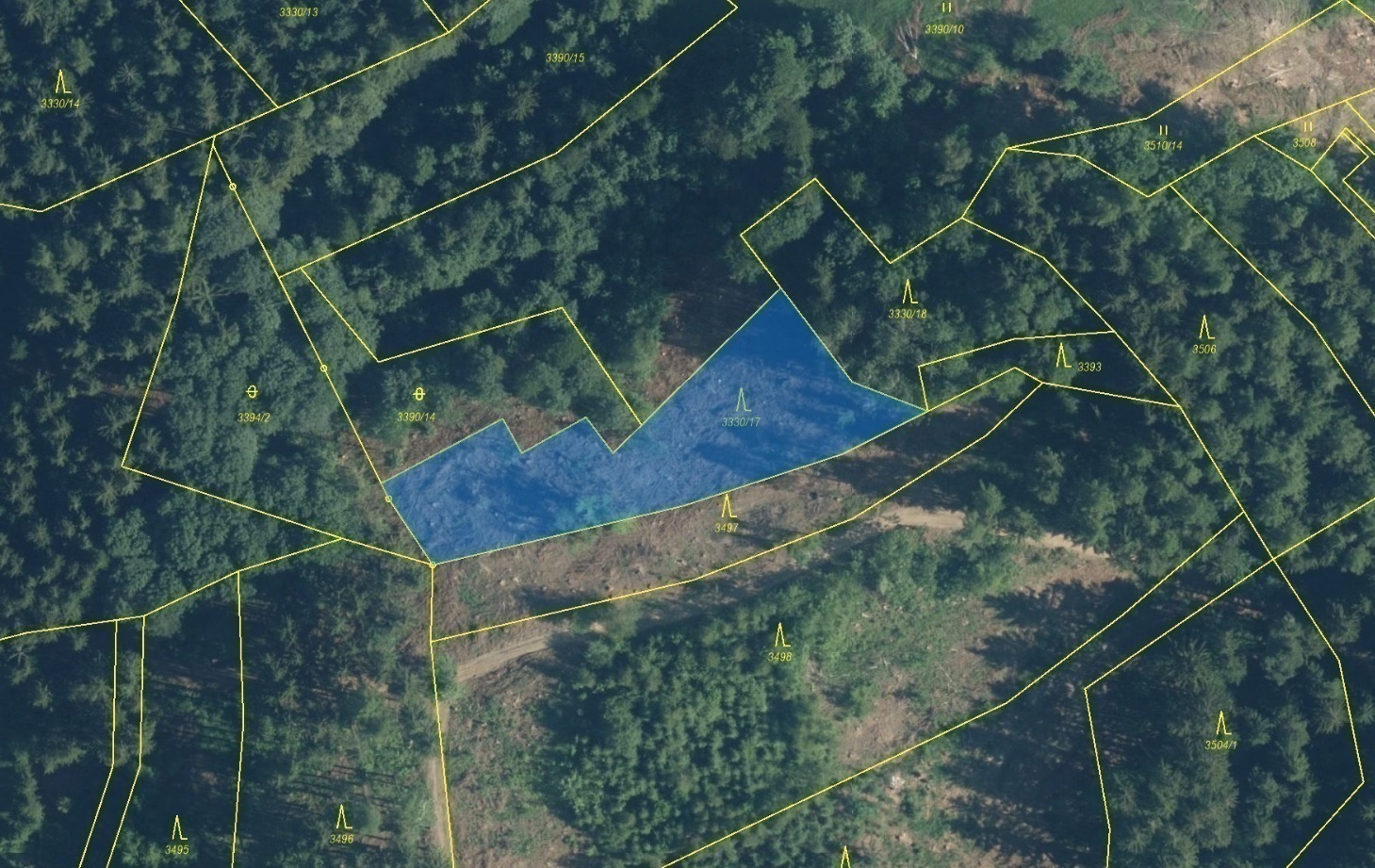Lesní pozemek o výměře 1781 m2, podíl 1/1, katastrální území Hovězí, obec Hovězí, obec s rozšířenou 