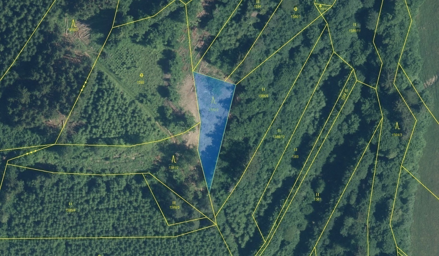 Lesní pozemek o výměře 910 m2, podíl 1/1, katastrální území Hovězí, obec Hovězí, obec s rozšířenou p