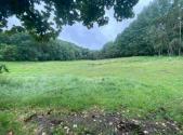 Prodej - pozemek, trvalý travní porost, 11 289 m²