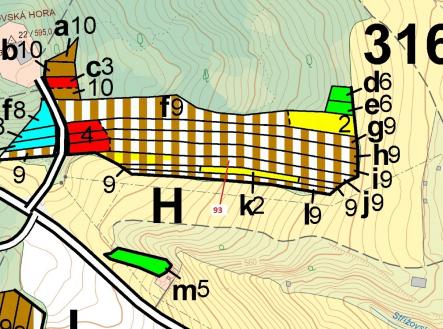 Prodej - pozemek, les, 3 316 m²