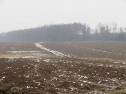 Prodej - pozemek, zemědělská půda, 5 228 m²