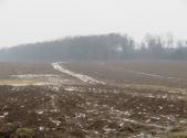 Prodej - pozemek, zemědělská půda, 5 228 m²