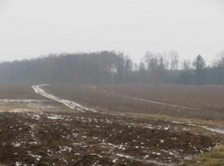 Prodej - pozemek, zemědělská půda, 5 228 m²