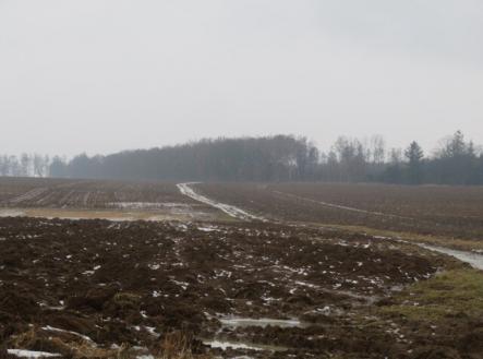 Prodej - pozemek, zemědělská půda, 5 228 m²