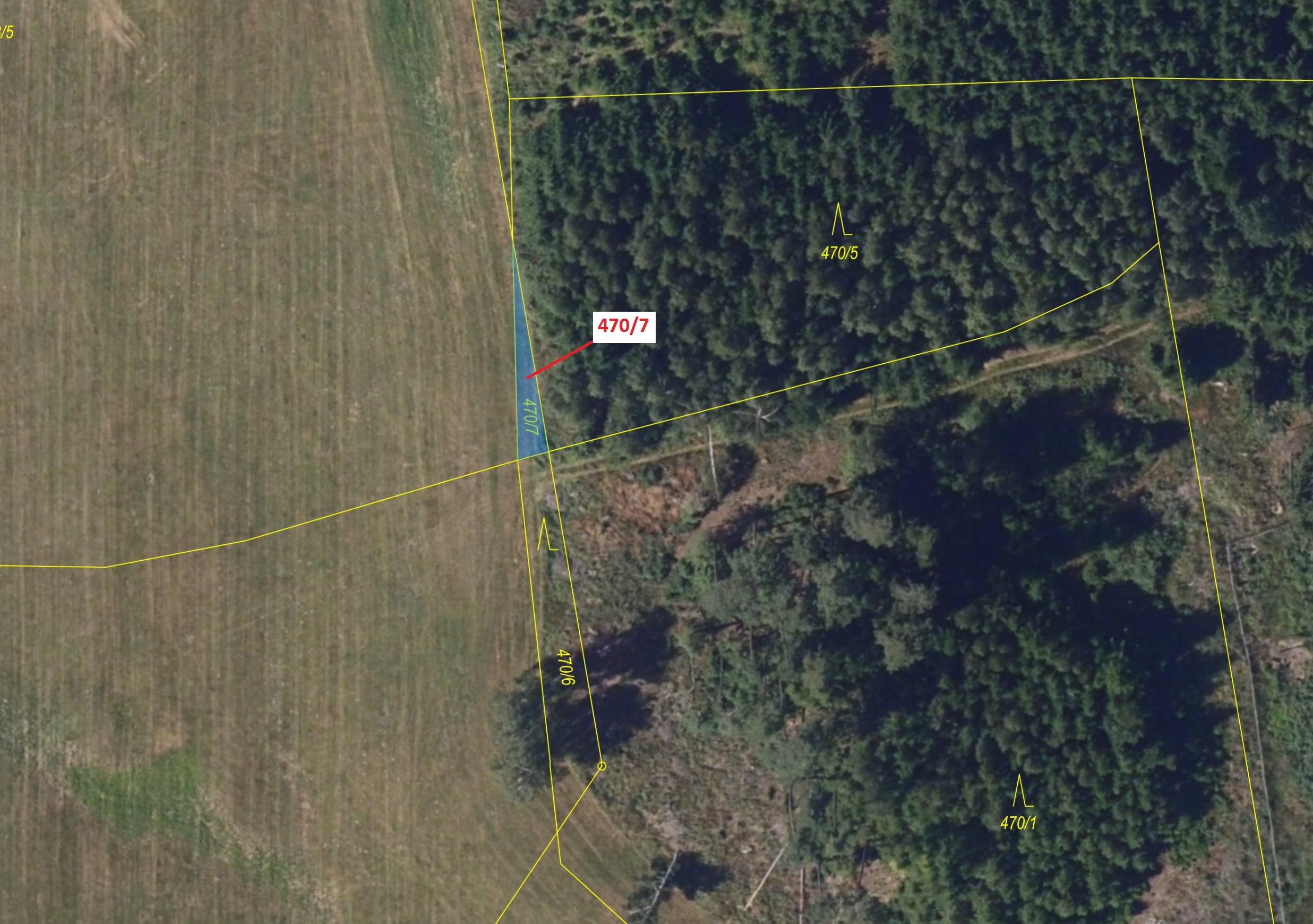 Lesní pozemek o výměře 90 m2, podíl 1/1, katastrální území Česká Bělá, obec Česká Bělá, obec s rozší