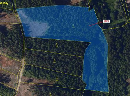 Prodej - pozemek, les, 10 812 m²
