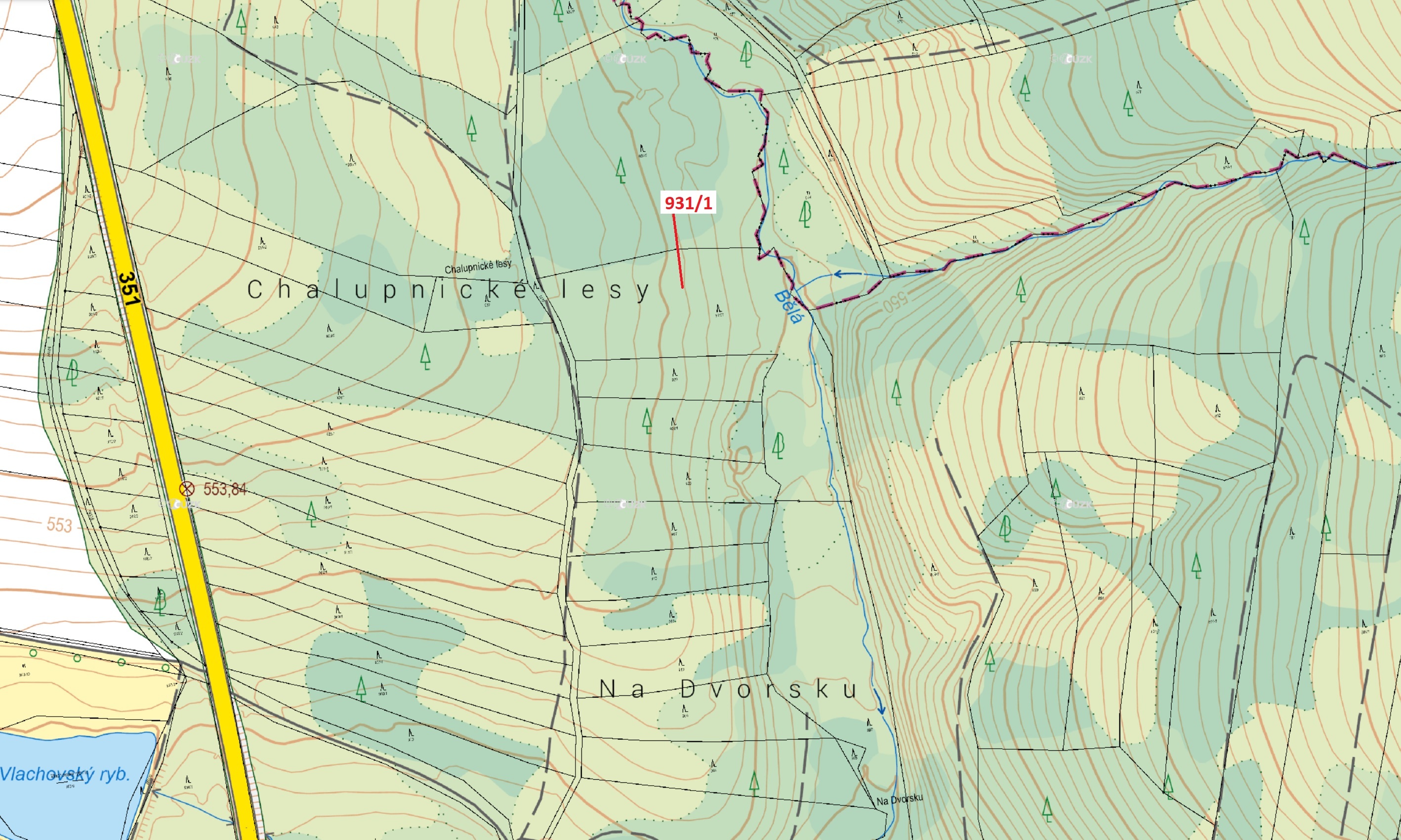 Lesní pozemek o výměře 10  812 m2, podíl 1/1, katastrální území Česká Bělá, obec Česká Bělá, obec s 