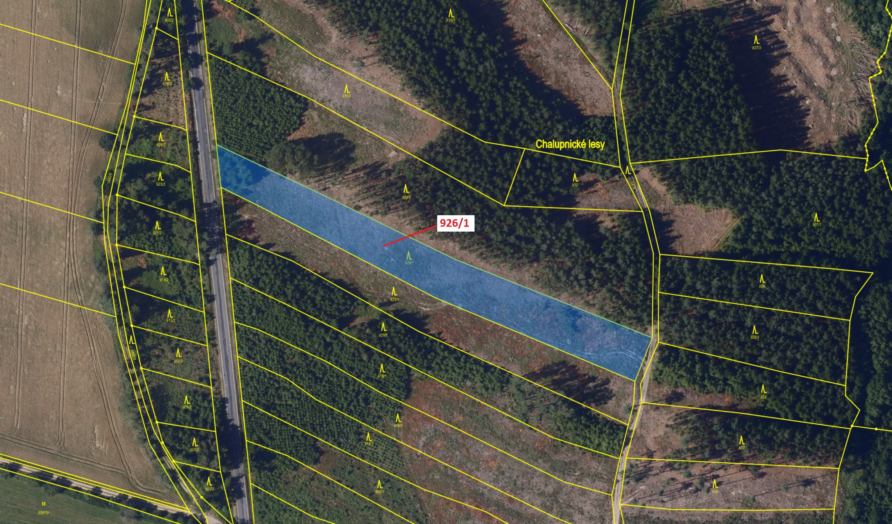 Lesní pozemek o výměře 5552 m2, podíl 1/1, katastrální území Česká Bělá, obec Česká Bělá, obec s roz