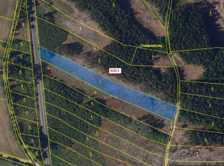 Prodej - pozemek, les, 5 552 m²
