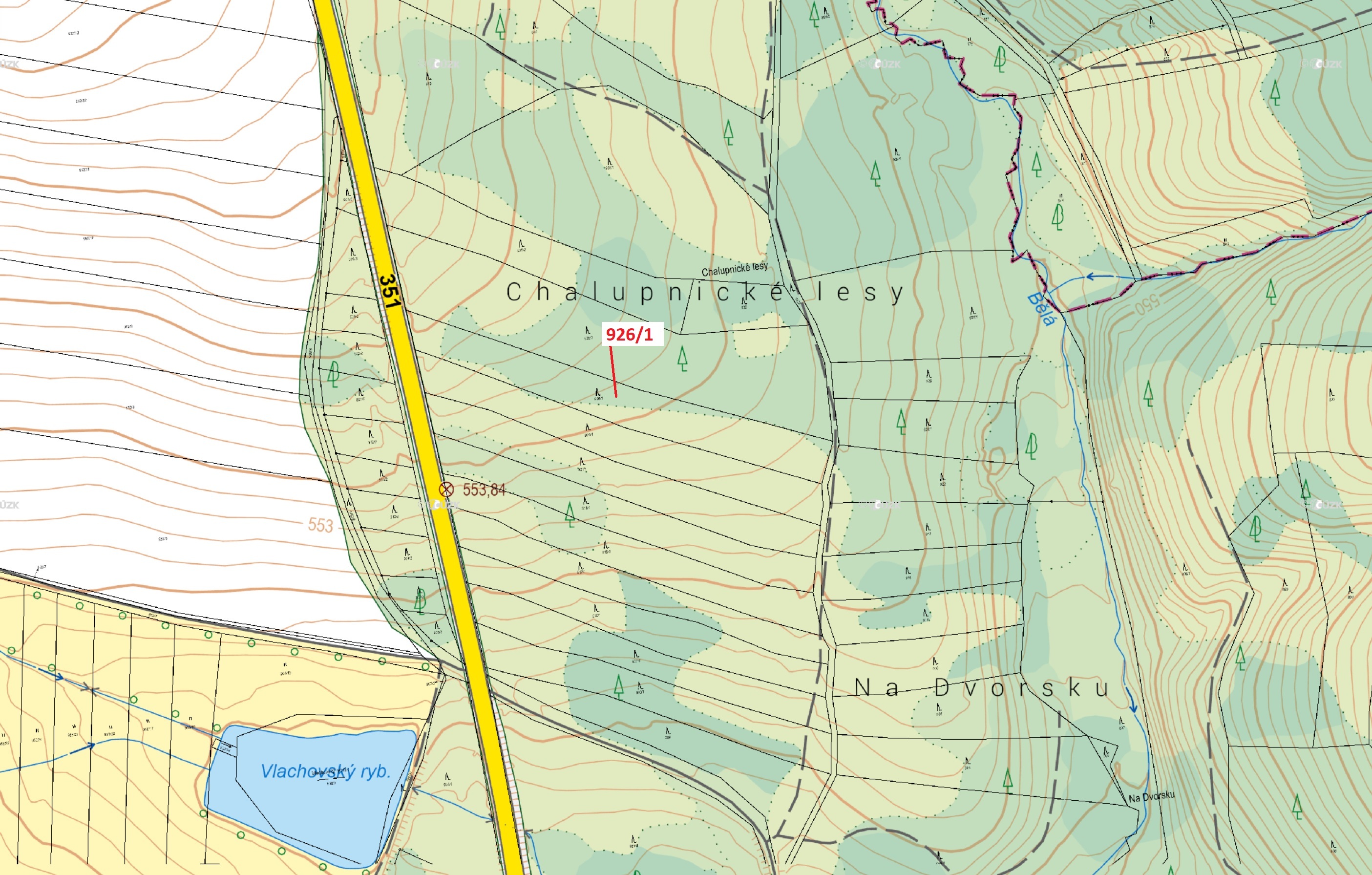 Lesní pozemek o výměře 5552 m2, podíl 1/1, katastrální území Česká Bělá, obec Česká Bělá, obec s roz