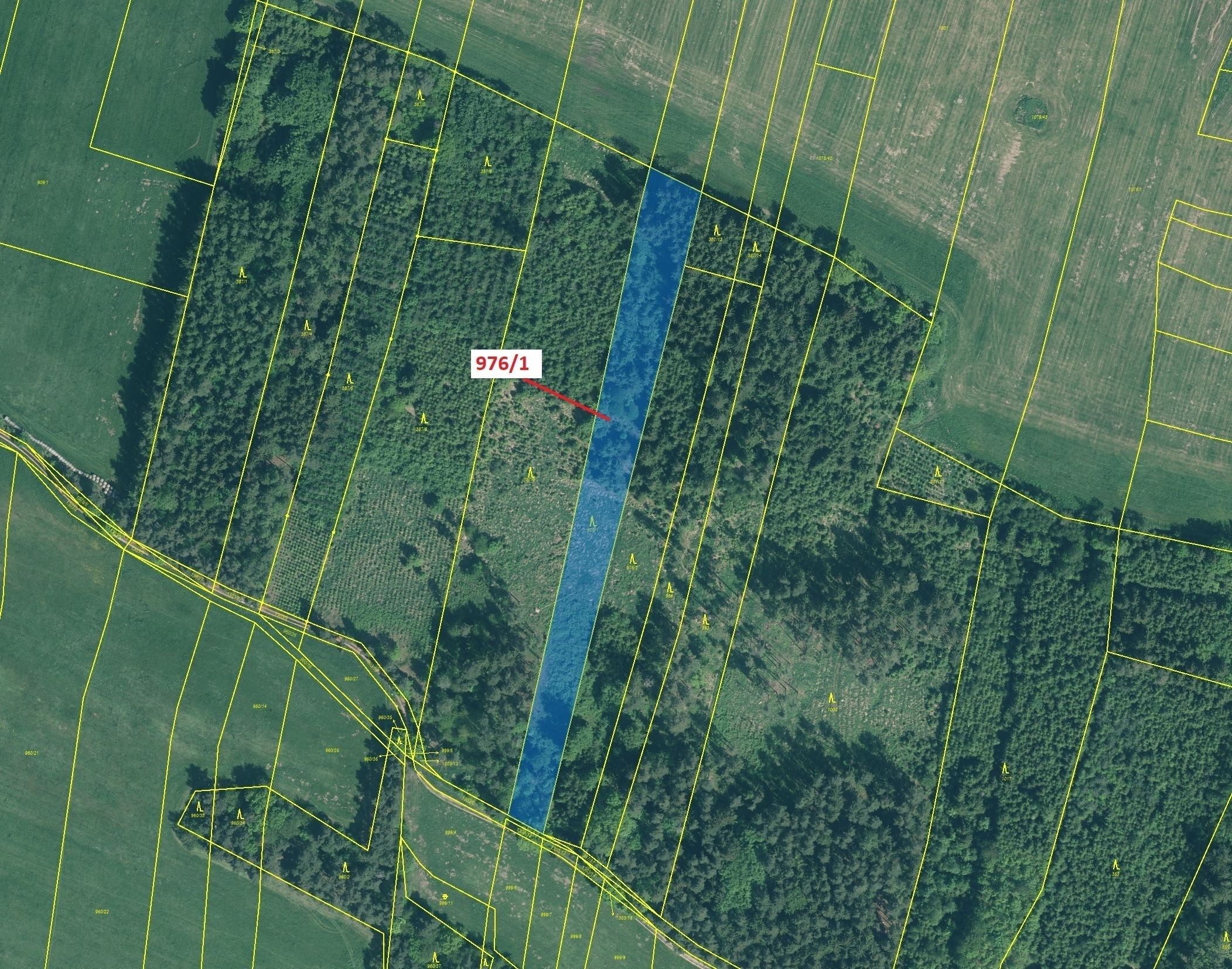 Lesní pozemek o výměře 5696 m2, podíl 1/1, katastrální území Třešně u Záhoří, obec Záhoří, obec s ro